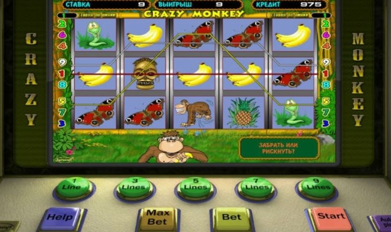 Игровой автомат Crazy Monkey Крейзи манки