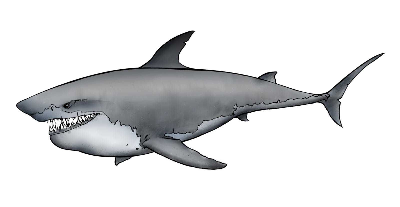 Игровой автомат Sharky Шарки играть бесплатно онлайн